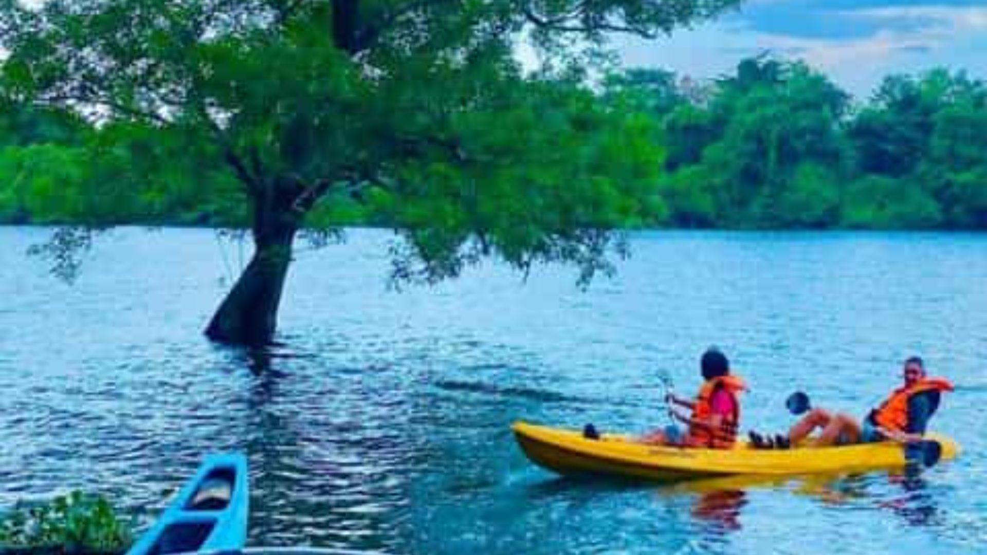 Kayaking through Floating Flowers